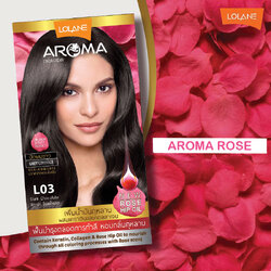ครีมเปลี่ยนสีผม โลแลน อโรมา คัลเลอร์ ครีม Lolane Aroma L03 สีดาร์ค ช็อคโกแลต 145 กรัม