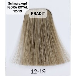 Schwarzkopf Igora Royal ครีมย้อมผม อีโกร่า รอยัล เบอร์ 12-19 (60ml) 80 กรัม