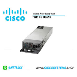 PWR-C5-BLANK (Config 5 Power Supply Blank)