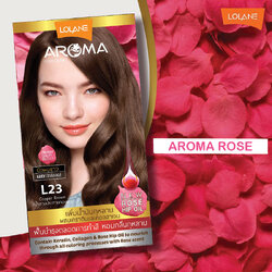 ครีมเปลี่ยนสีผม โลแลน อโรมา คัลเลอร์ ครีม Lolane Aroma L23 สีน้ำตาลประกายทองแดง 145 กรัม