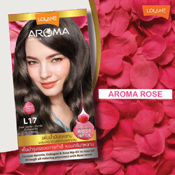 ครีมเปลี่ยนสีผม โลแลน อโรมา คัลเลอร์ ครีม Lolane Aroma L17 สีบลอนด์เข้มประกายทอง 145 กรัม