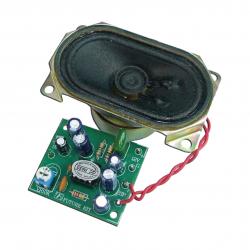 Future Kit FK674 ขยายเสียง 2W โมโน พร้อมลำโพง