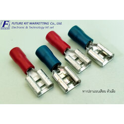 หางปลาแบบเสียบ ตัวเมีย