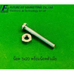 FuturePack FP8003 น็อต 3x20 พร้อมน็อตตัวเมีย