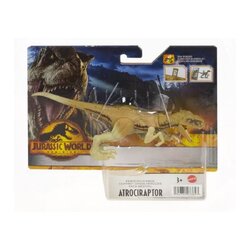 Mattel Jurassic World Ferocious Pack Atrociraptor (HDX30) แมทเทล จูราสสิค เวิลด์ ของเล่นแอ็กชั่นฟิกเกอร์ไดโนเสาร์ อโทรซิแรปเตอร์ สีน้ำตาล