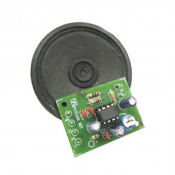 FutureKit FK1317 ขยายเสียง 1 วัตต์ 3-5 โวลท์ พร้อมลำโพง