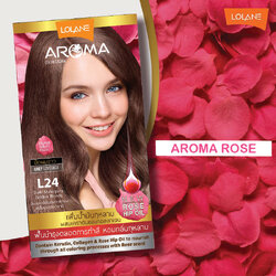 ครีมเปลี่ยนสีผม โลแลน อโรมา คัลเลอร์ ครีม Lolane Aroma L24 สีบลอนด์เข้มประกายทองเหลือบมะฮอกกานี 145 กรัม
