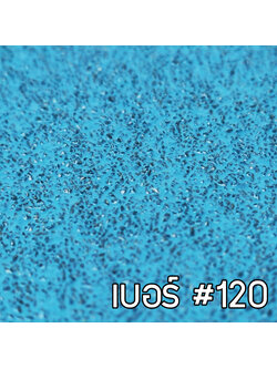 เบอร์ #120