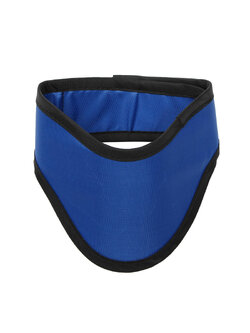 ปลอกคอกันรังสี (Lead Collar)