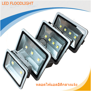 หลอดไฟแอลอีดี 12/24V Floodlight 12/24V