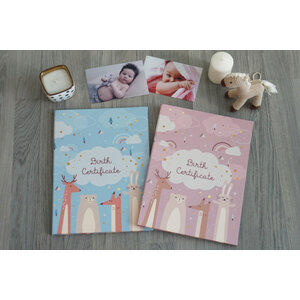 แฟ้มใส่สูติบัตร/ทะเบียนสมรส/โฉนดที่ดิน แบบพร้อมส่ง