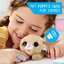 Hasbro furReal Newborns Puppy Interactive Pet, Small Plush with Sounds and Motion ฮาสโบร เฟอร์เรียล นิวบอร์น ตุ๊กตาลูกหมา มีลูกเล่นเสียงและการเคลื่อนไหวที่น่ารัก ลิขสิทธิ์แท้