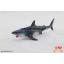 โมเดลปลาฉลามขาว (Great White Shark) แบรนด์ Takara Tomy ขนาดยาวประมาณ 7.5 ซม