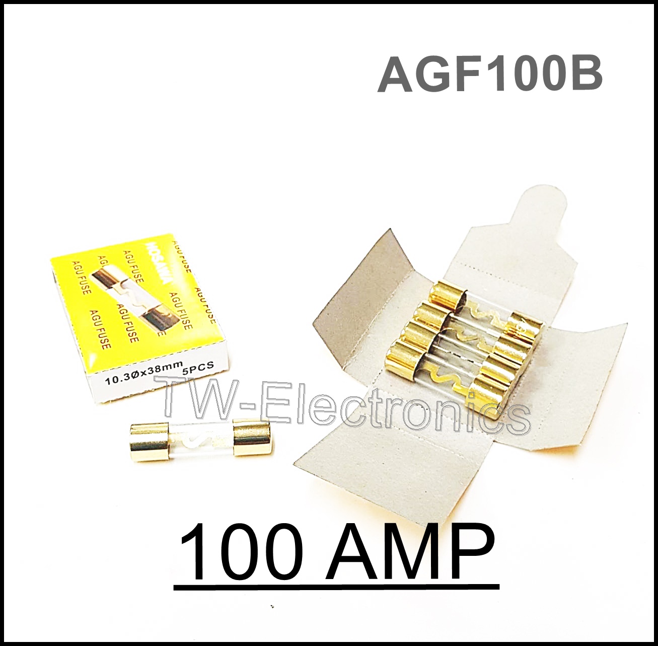 ฟิวส์แก้วรถยนต์ 100 Amp / AGU Fuse (AGF100B)