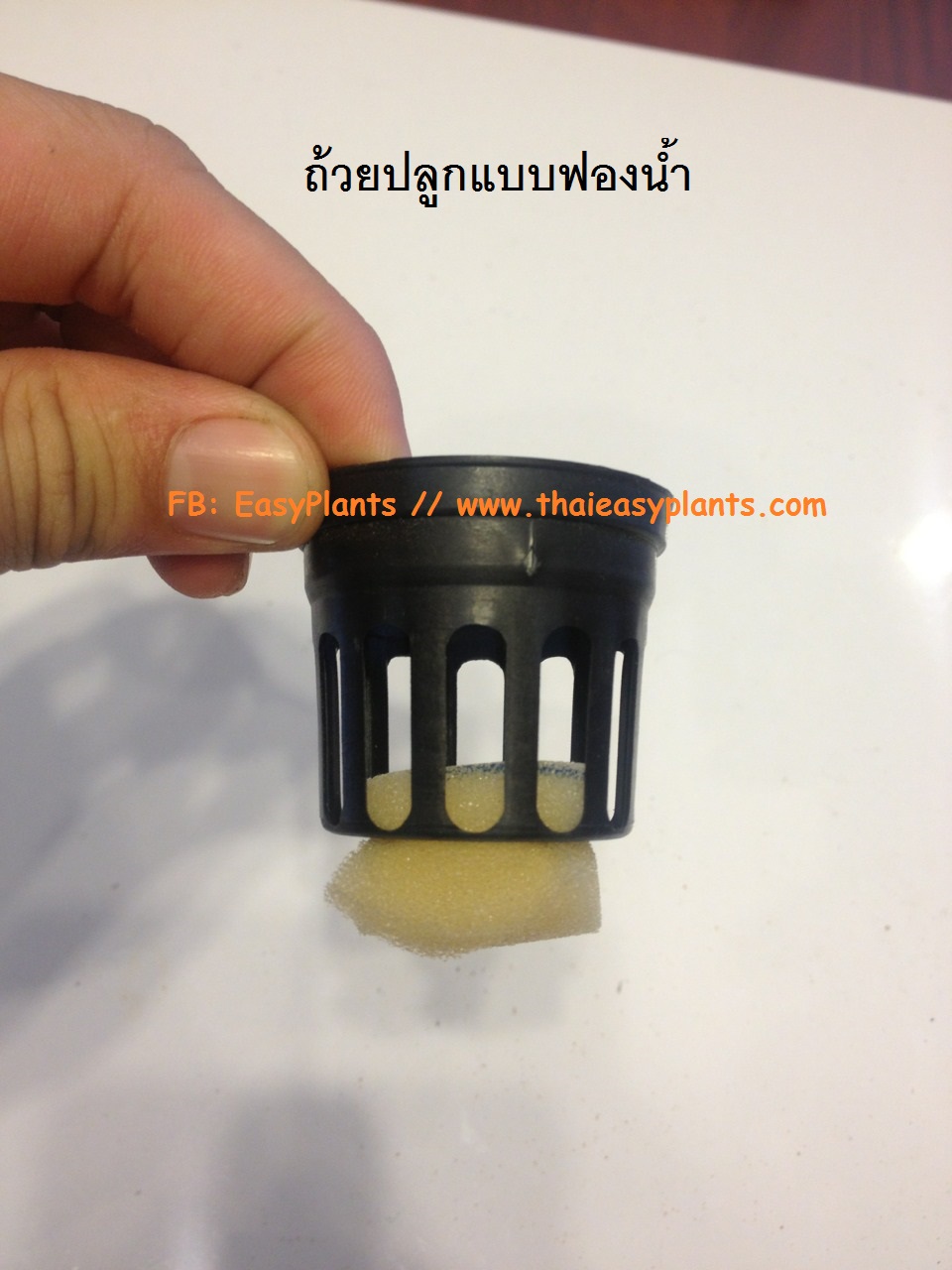 ถ้วยปลูก แบบใช้กับฟองน้ำ