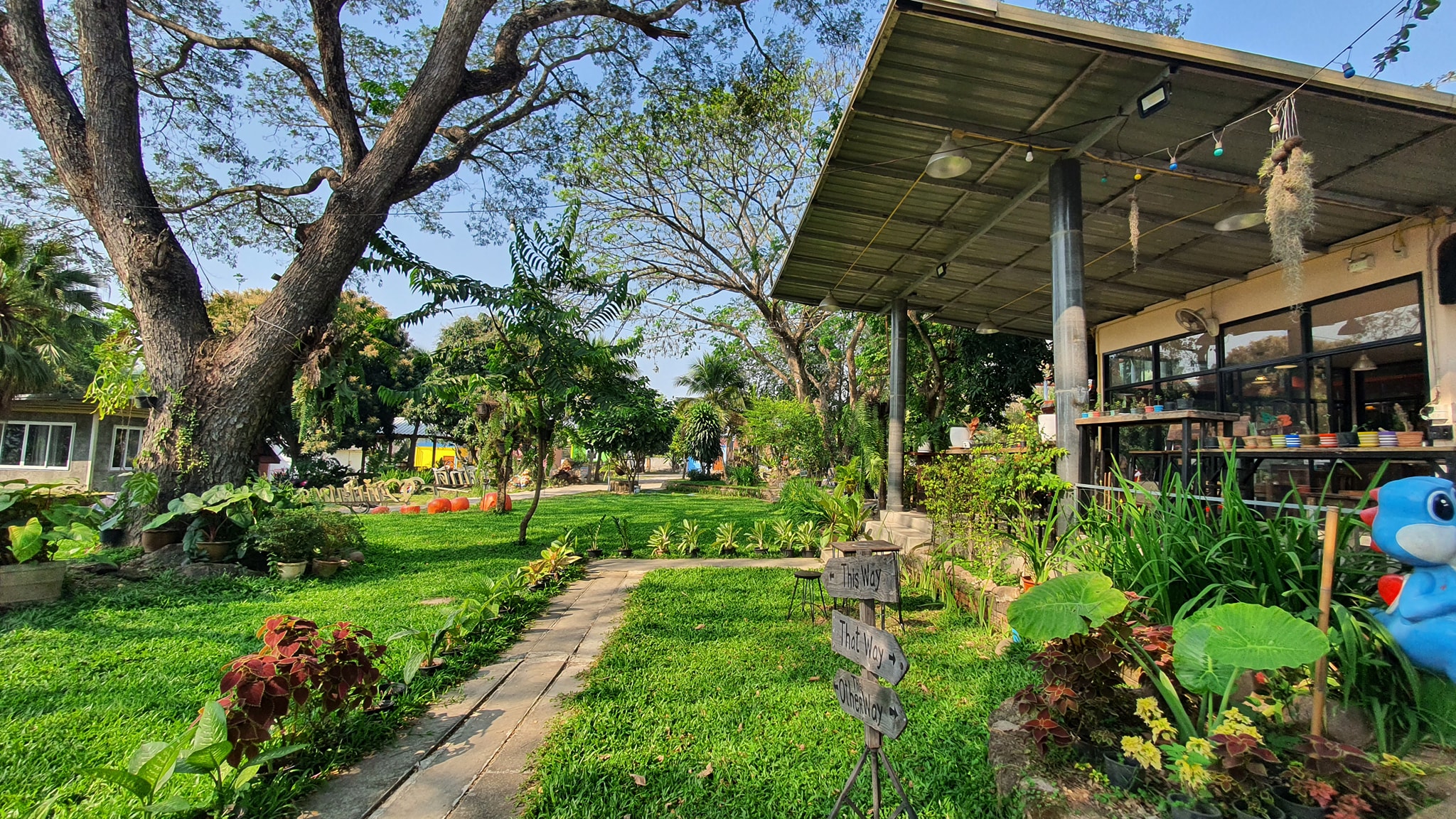 ขายรีสอร์ทพร้อมสวนอาหาร ใน จ.ลำพูน บรรยากาศท่ามกลางธรรมชาติ วิวเขาและทุ่งนา