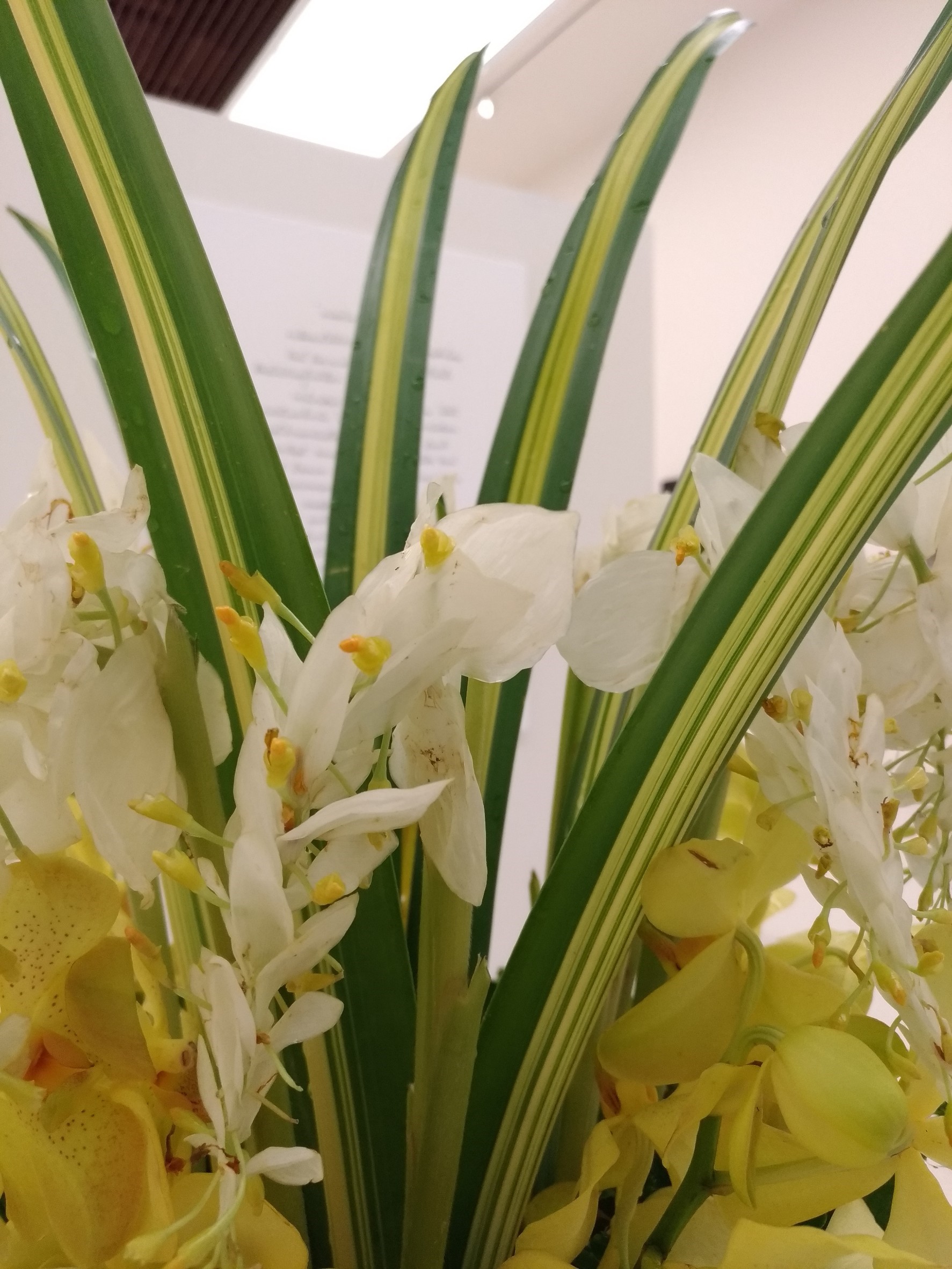 เสาตัดริบบิ้น RB 028- - จำนวน 1 คู่