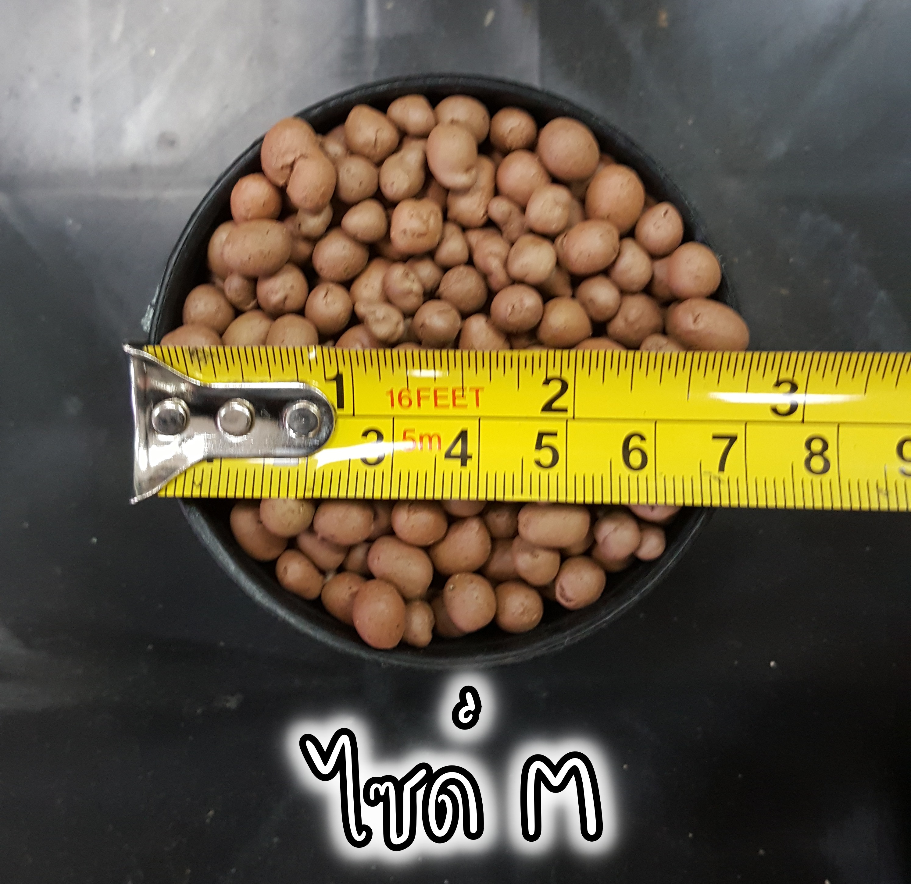 ถุงละ 1 ลิตร เม็ดปอปเปอร์สีอิฐ และ สีดำ ดินเผาโรยหน้า Clay Popper