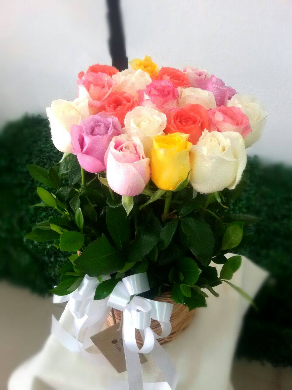 Color Full Roses