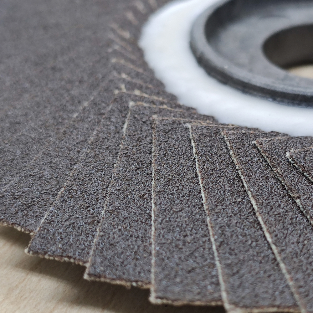 จานทรายหลังอ่อน 911