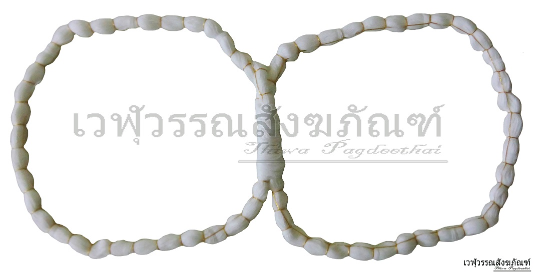 มงคลแฝด