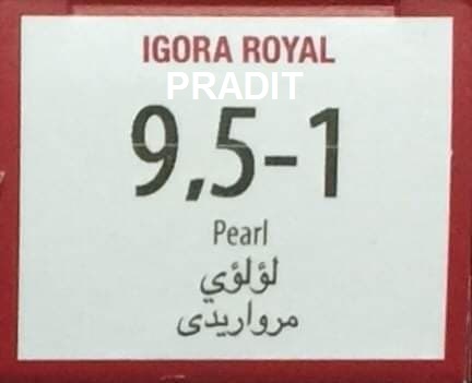 Schwarzkopf Igora Royal ครีมย้อมผม อีโกร่า รอยัล เบอร์9.5-1 สีควันบุหรี่ (60ml) 80 กรัม