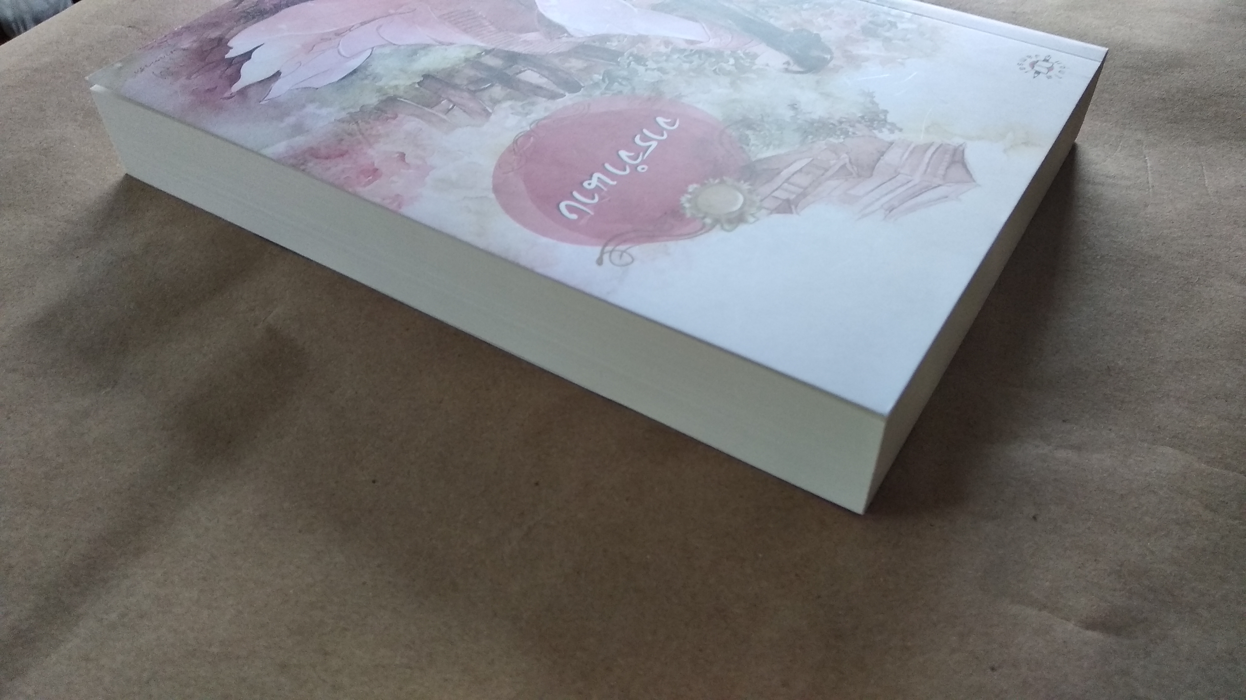 จารจำนาง โดย 于晴 อวี๋ฉิง นิยายแปลจีน แจ่มใส มากกว่ารัก มือสอง