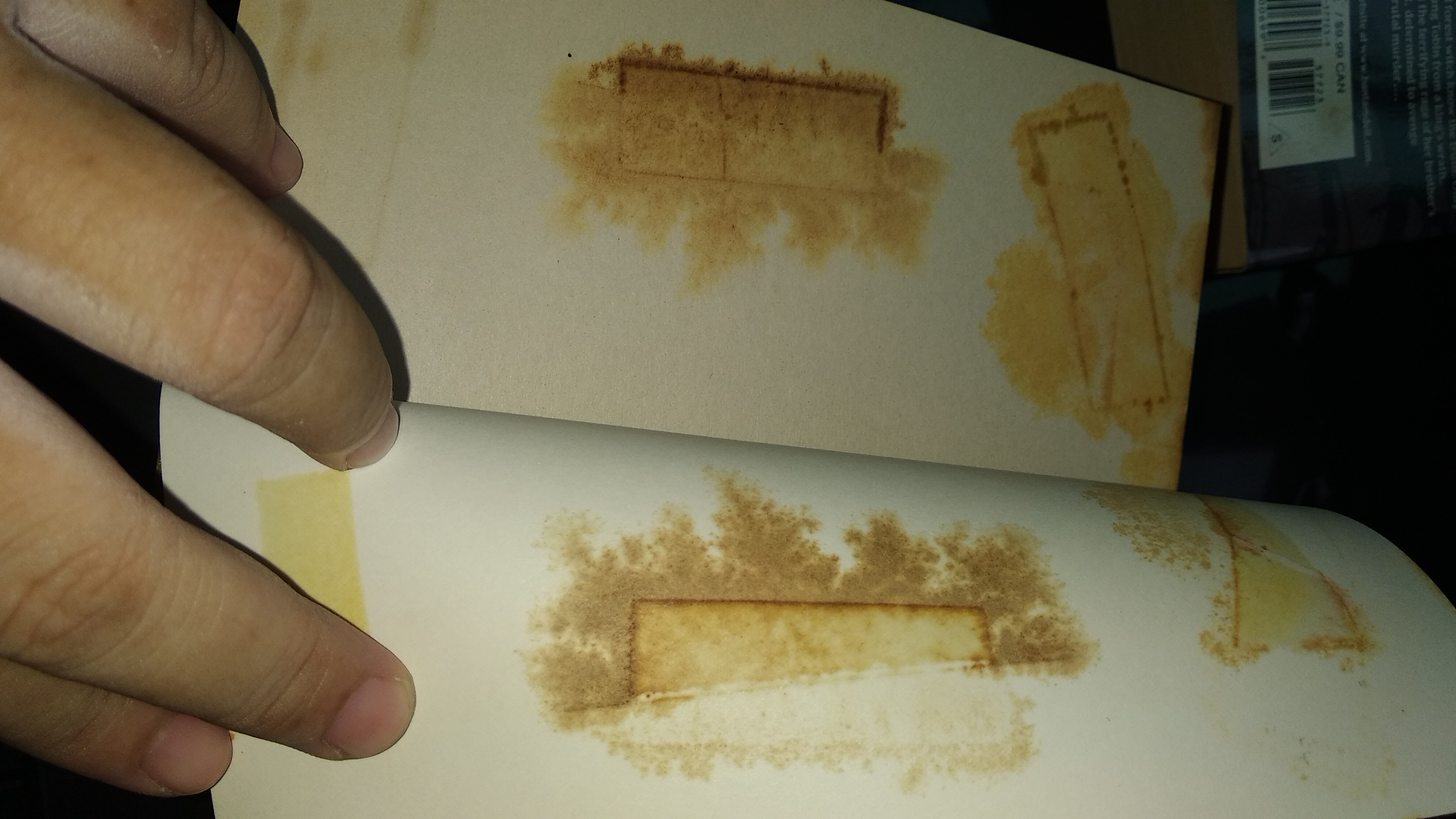 The Bone Doll's Twin, Hidden Warrior, The Oracle's Queen (Tamír Triad v1-3) by Lynn Flewelling