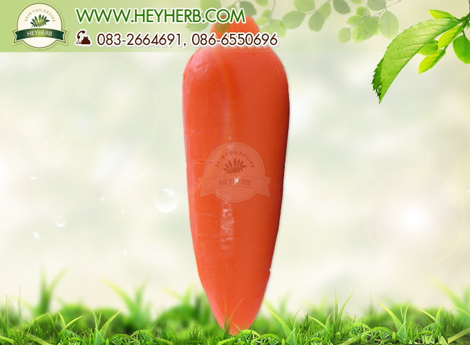 กลิ่นแครอท (Carrots)