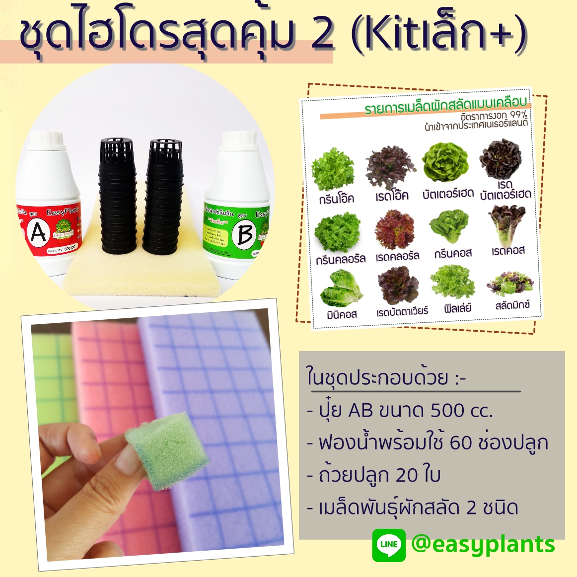 ชุดไฮโดรสุดคุ้ม 2 (Kitเล็กPlus)