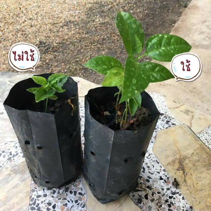 PSB จุลินทรีย์สังเคราะห์แสง ขนาด 6 ลิตร
