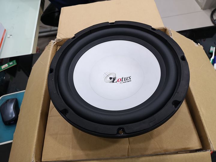 SEAS SW250 'Lotus' 10" 4Ohm. Car Subwoofer