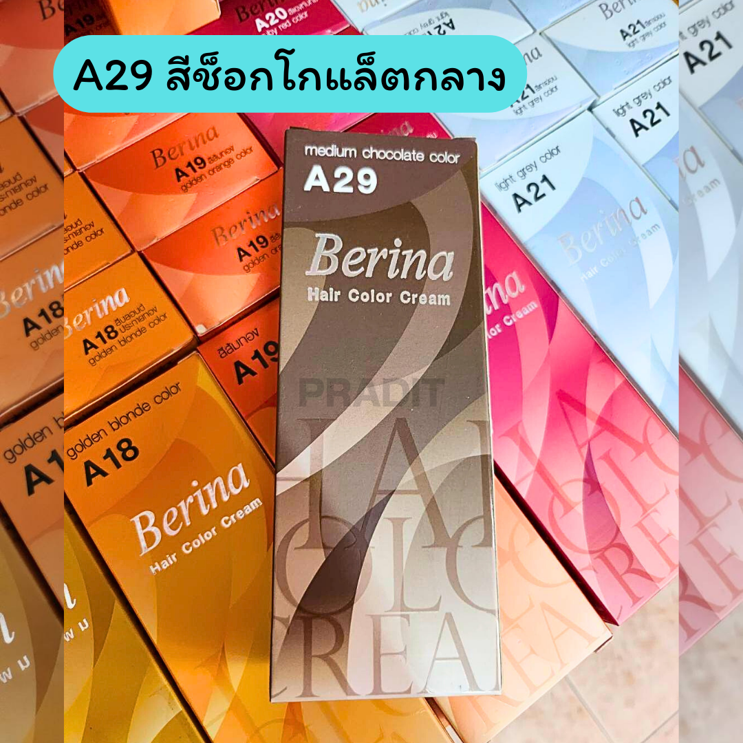 Berina Hair Color เบอร์ A29 สีช็อคโกแลตกลาง 121 กรัม