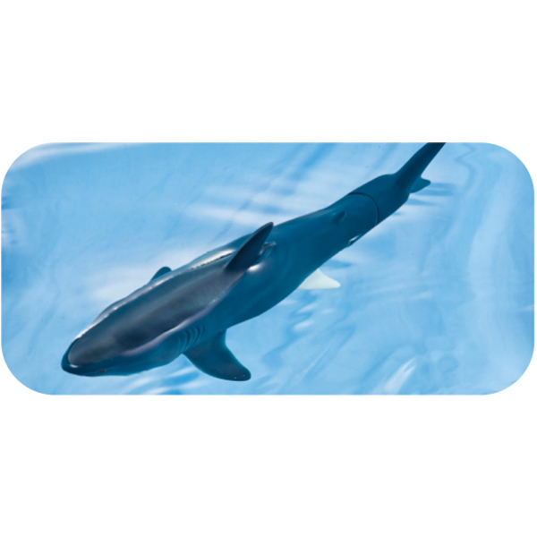 Takara Tomy - Ania AL-11 โมเดลปลาฉลามยักษ์ Megalodon (Floatable Ver.)