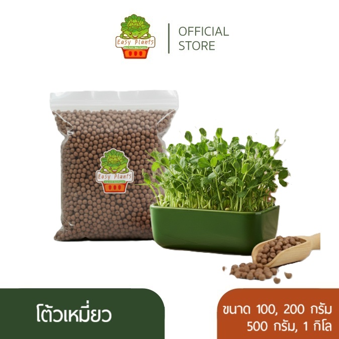 เมล็ดเพาะต้นอ่อน โต้วเหมี่ยว พันธุ์เมเปิ้ล (Pea Maple Microgreen)