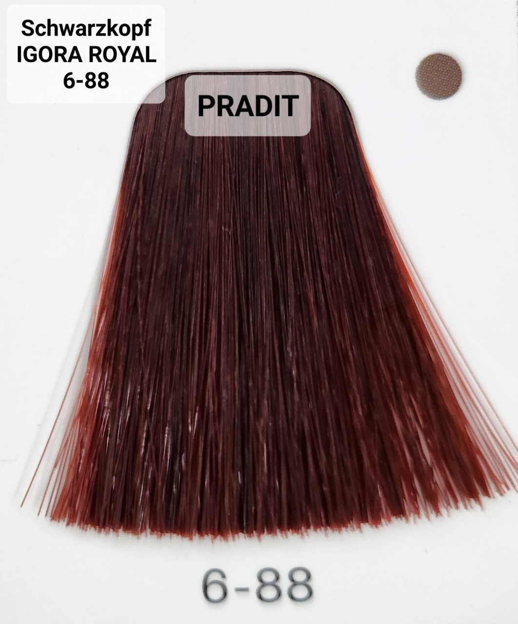 Schwarzkopf Igora Royal ครีมย้อมผม อีโกร่า รอยัล เบอร์6-88 สีบลอนด์เข้มออกแดงพิเศษ (60ml) 80 กรัม