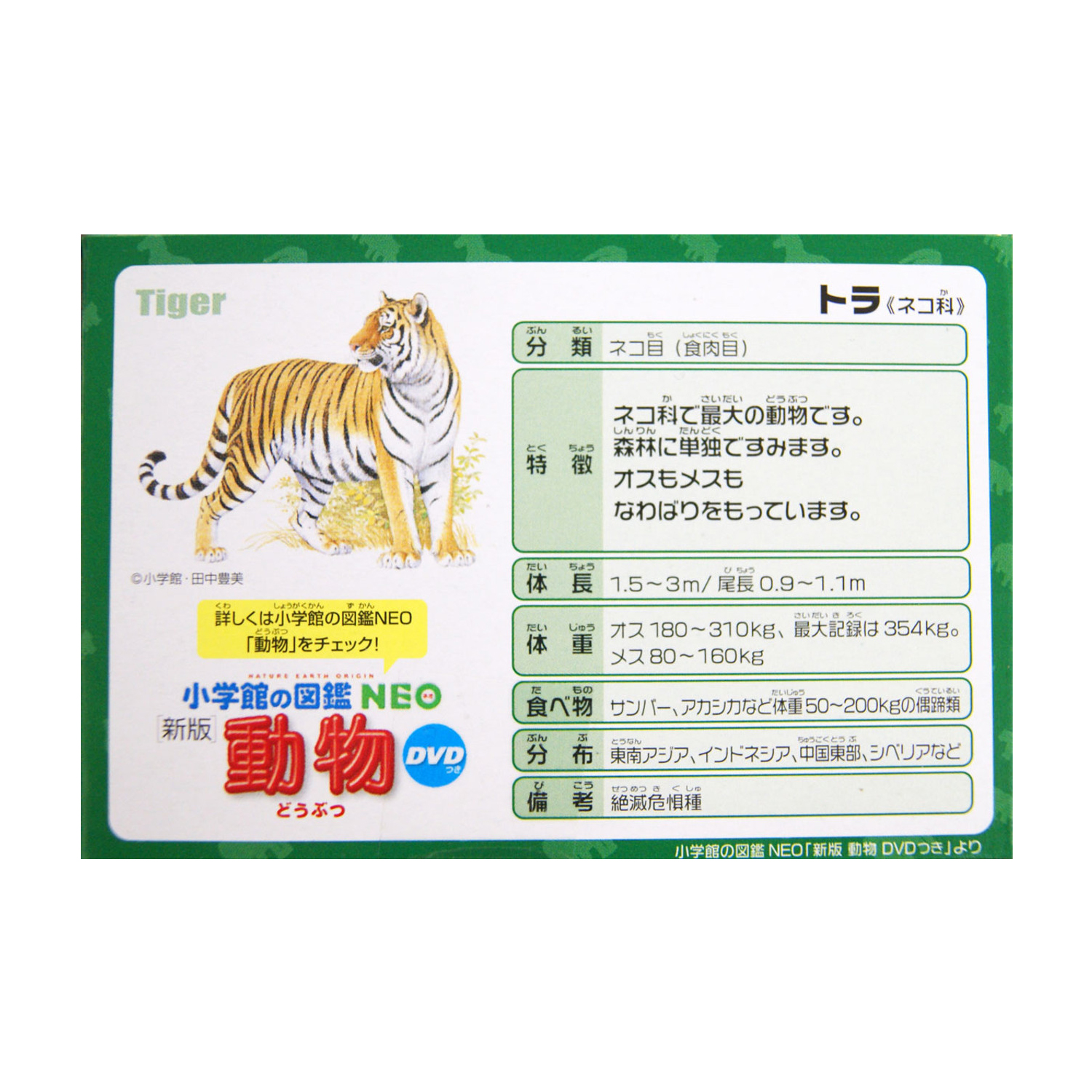 Takara Tomy - Ania AS-30 โมเดลเสือ Tiger (Wild Version)
