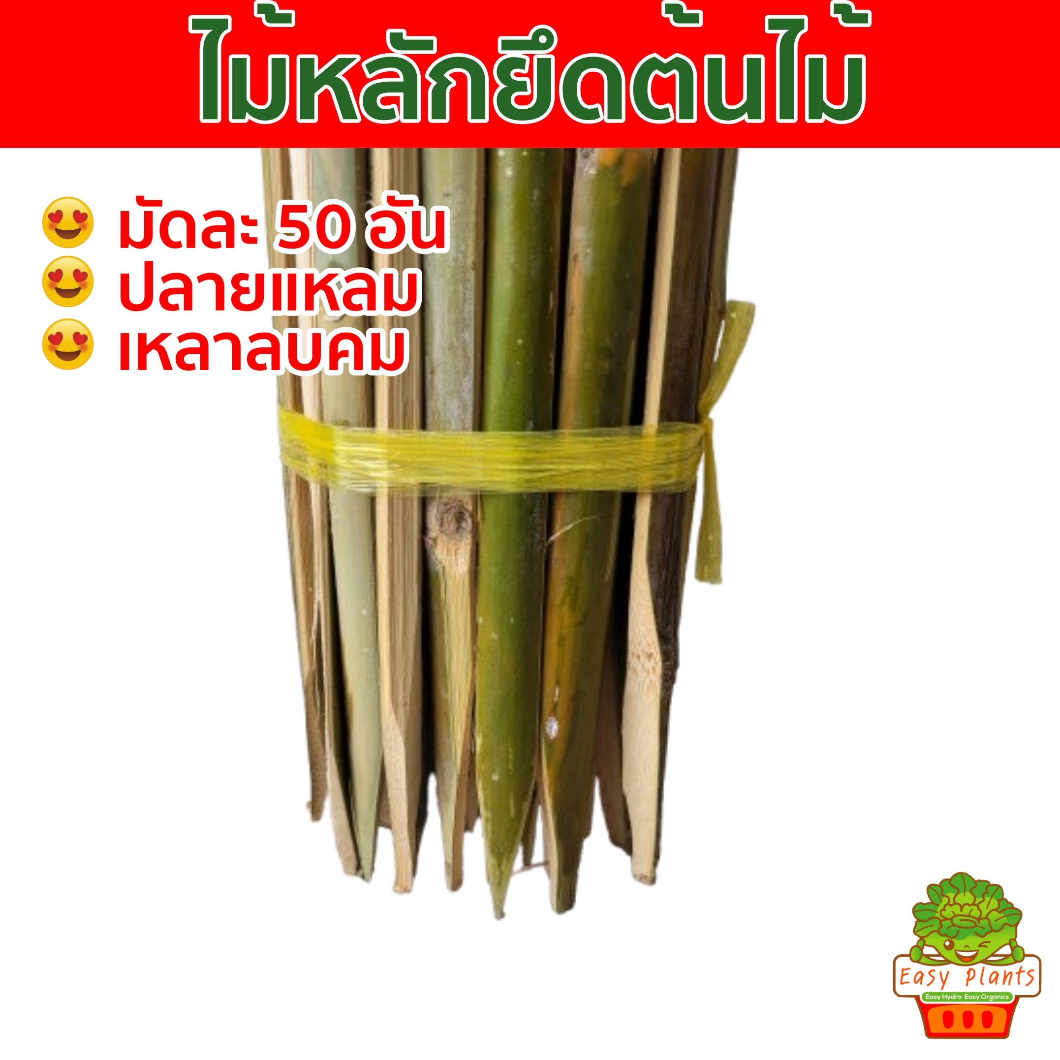 ไม้หลักยึดต้นไม้ ปลายแหลมยาว 100ซม,80ซม,60ซม.จำนวน50 อัน เหลาลบคมป้องกันลำต้นโยก ช่วยพยุงลำต้น