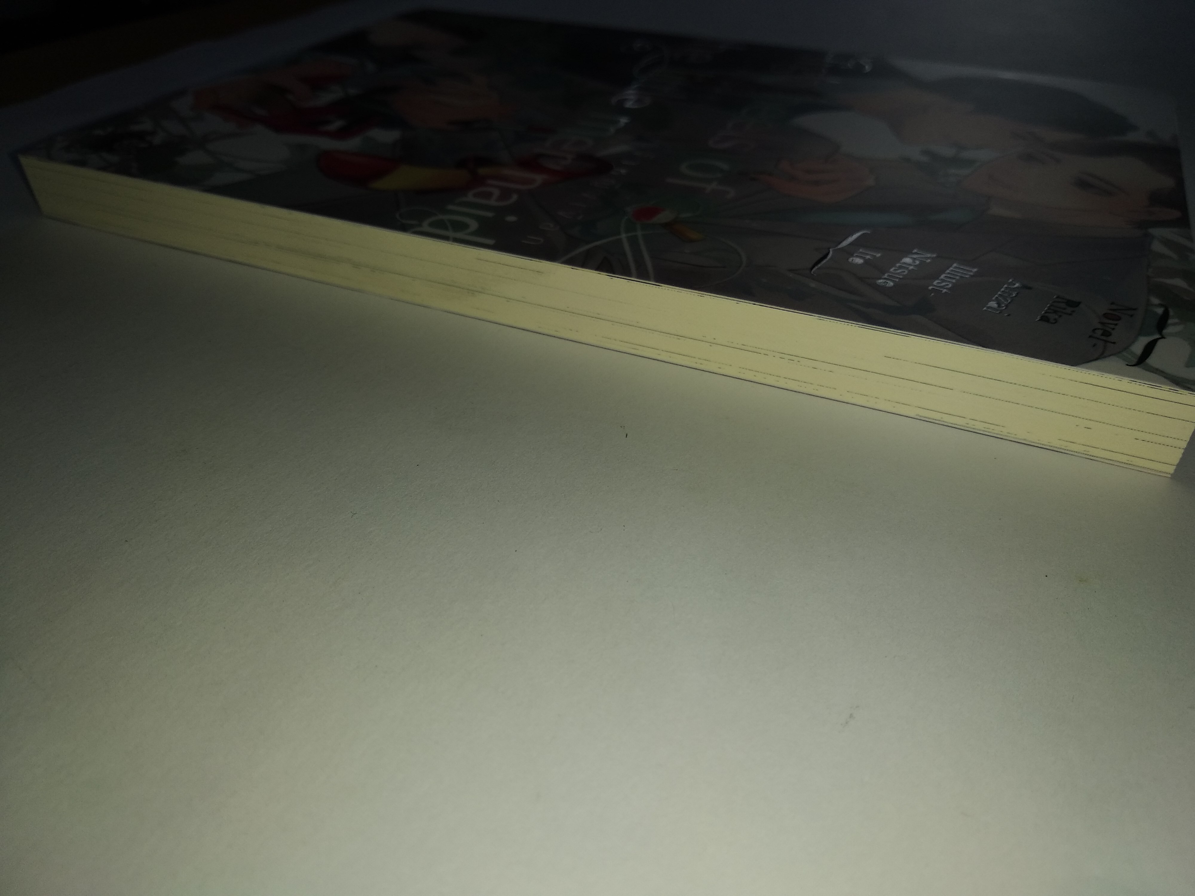 นิยายวายญี่ปุ่น High heels of the little mermaid ~รองเท้าส้นสูงของเจ้าหญิงเงือก~ : Rika Anzai