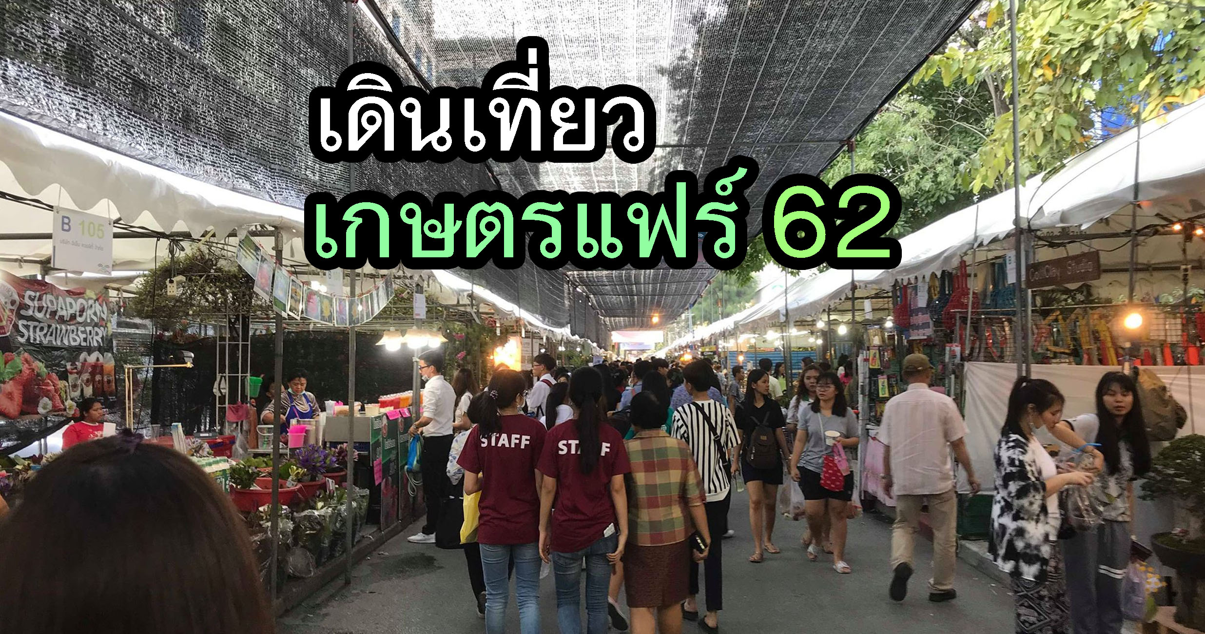งานเกษตรแฟร์ ช็อปปิ้ง ต้นไม้ เสื้อผ้า อาหาร