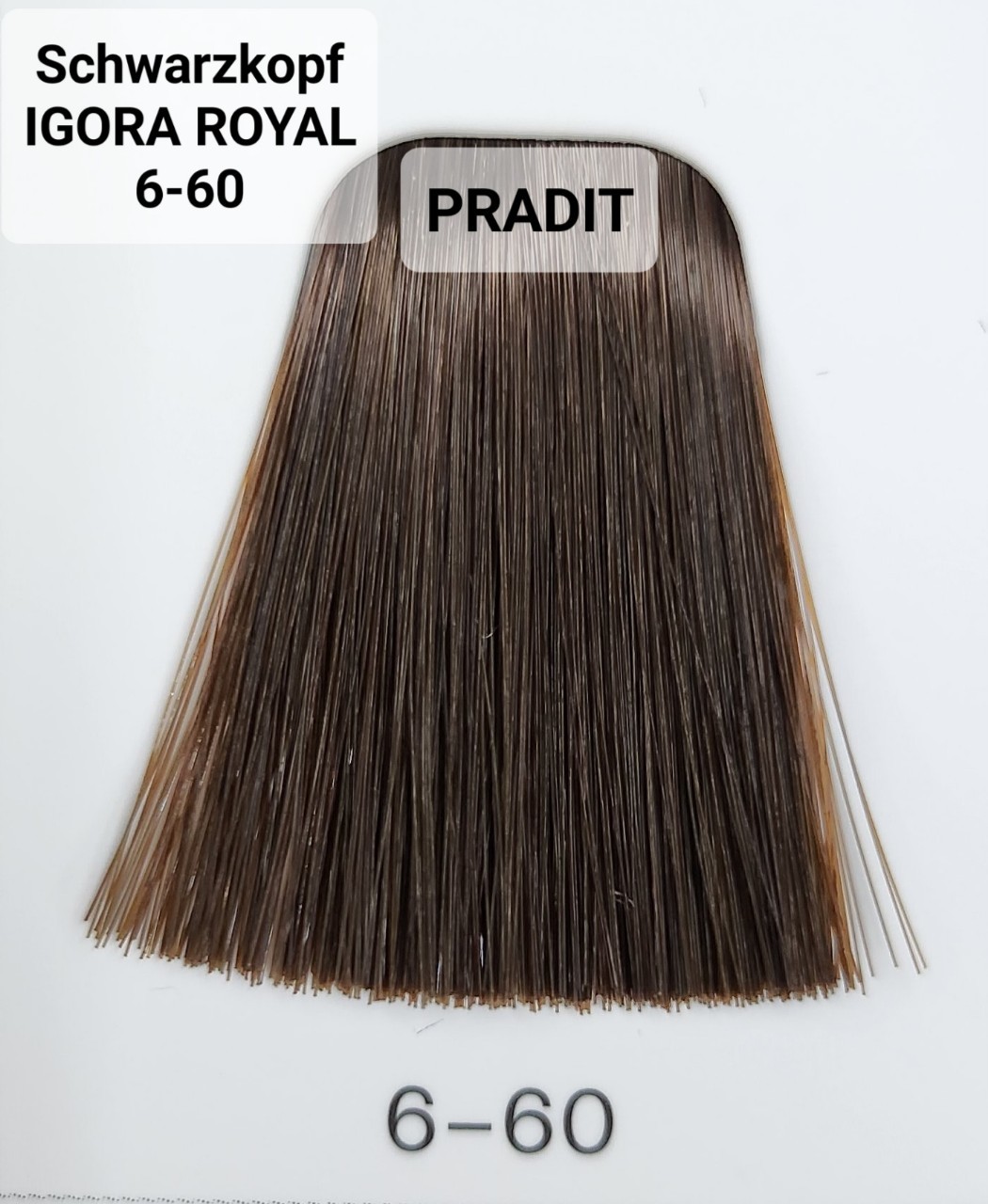 Schwarzkopf Igora Royal ครีมย้อมผม อีโกร่า รอยัล เบอร์ 6-60 (60ml) 80 กรัม