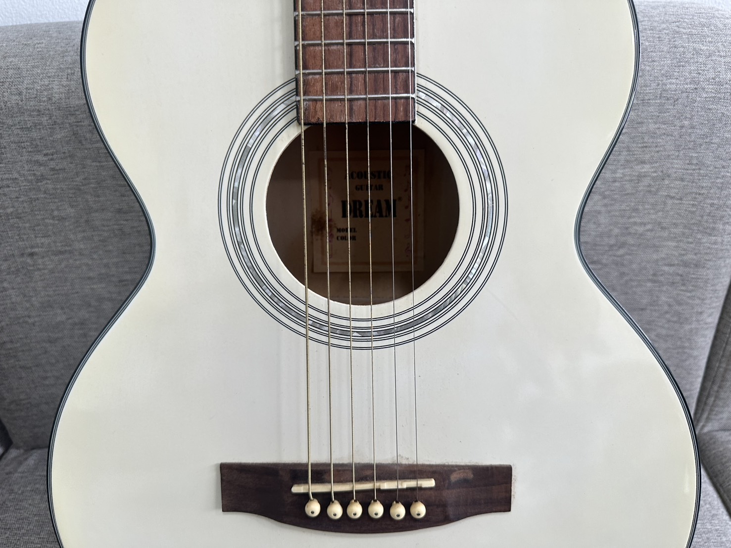 กีตาร์โปร่ง DREAM DW-100