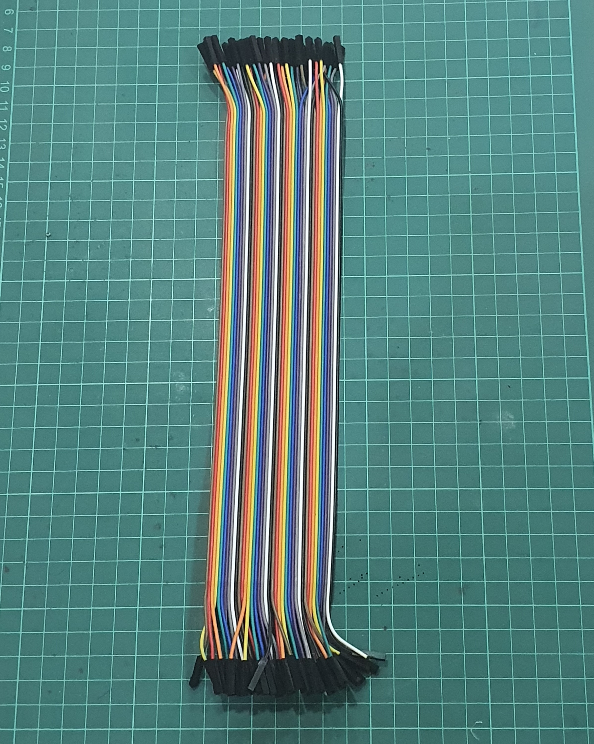 40Pin Female - Female 30 cm