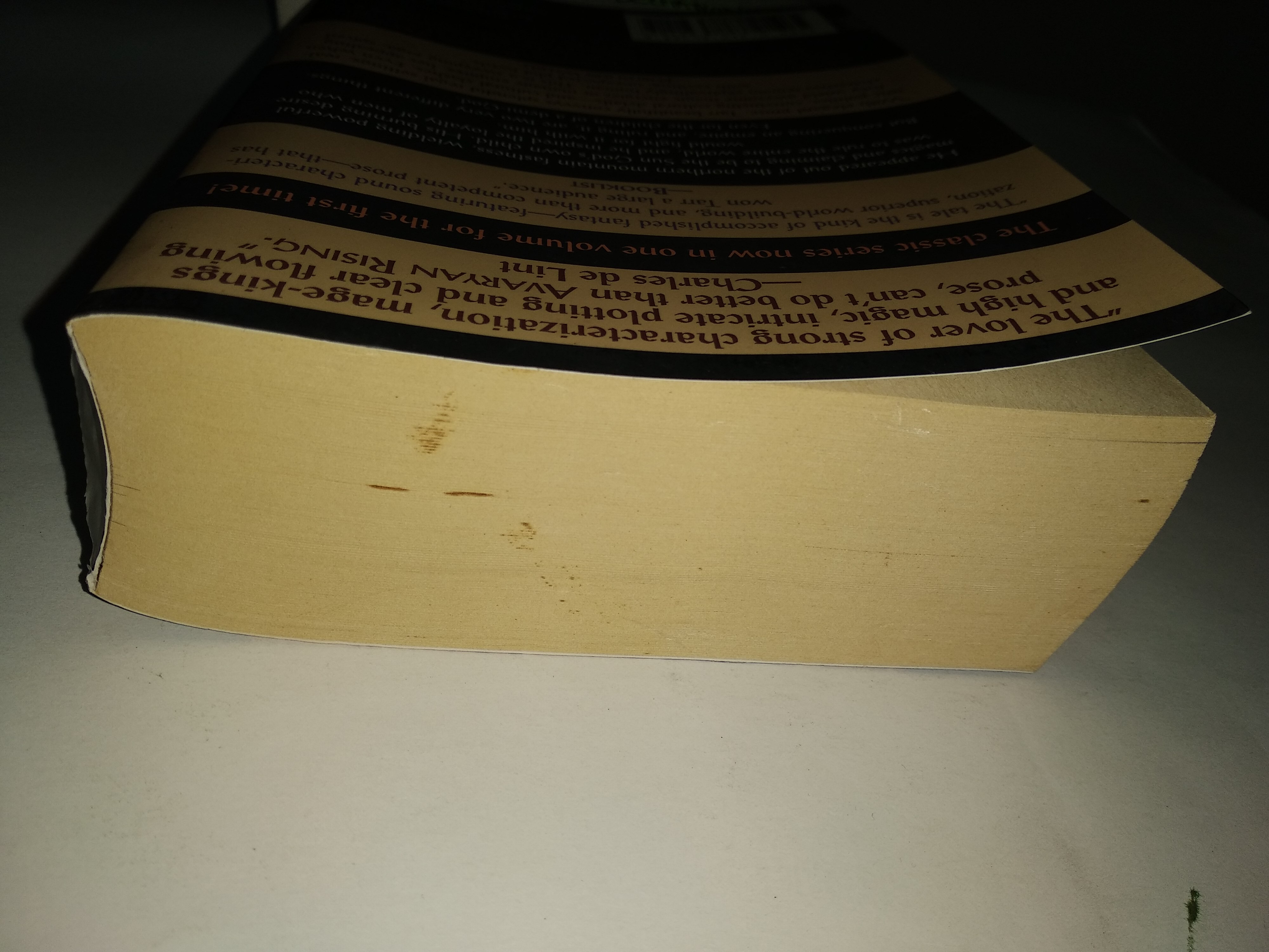 Avaryan Rising (Avaryan Rising v1-3) by Judith Tarr