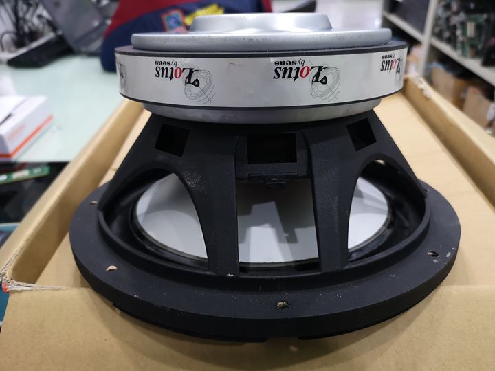 SEAS SW250 'Lotus' 10" 4Ohm. Car Subwoofer