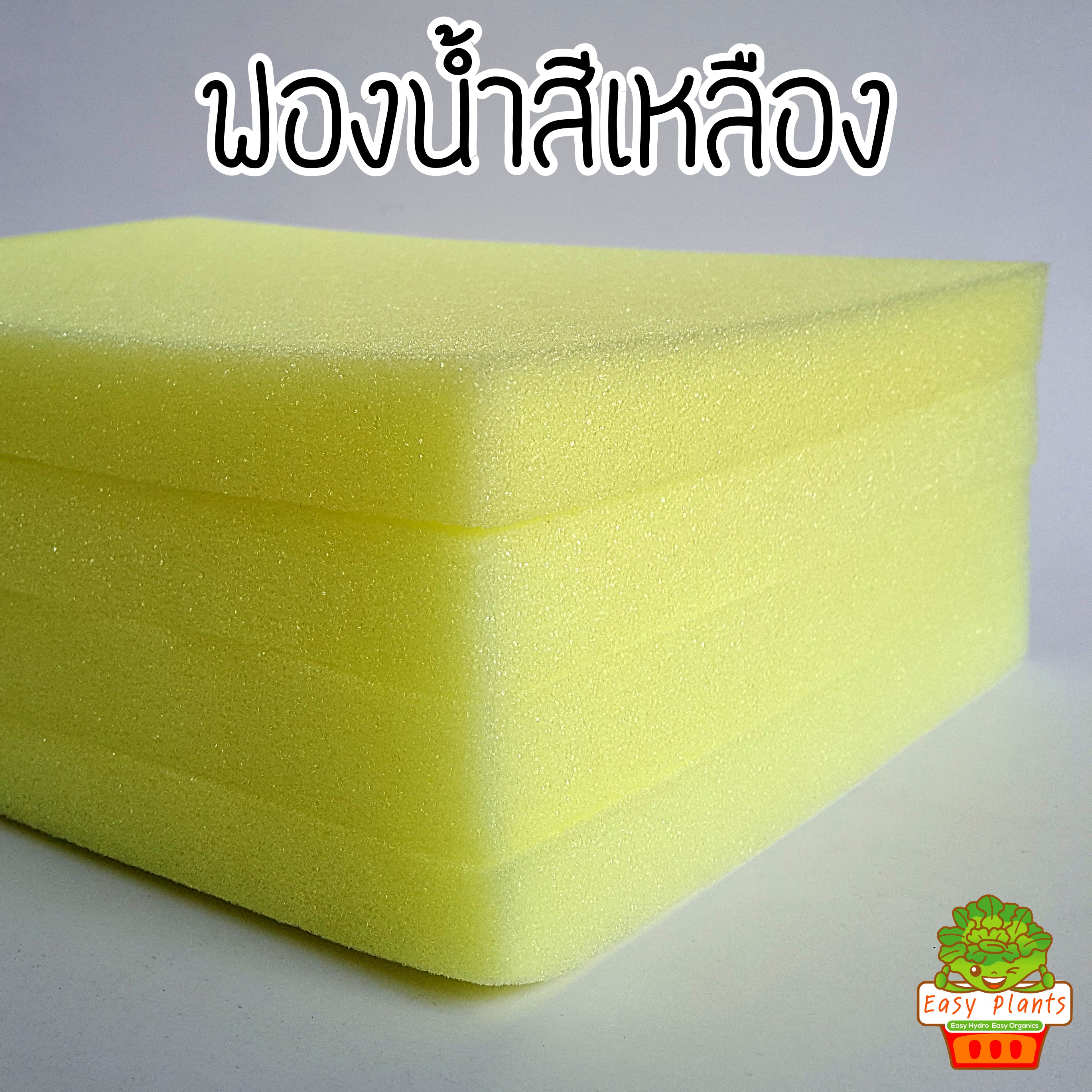 ฟองน้ำปลูกผัก ไฮโดรโปนิกส์ แบบตัดแล้ว จำนวน 5 แผ่น เลือกสีได้ ฟ้า ชมพู เขียว เหลือง