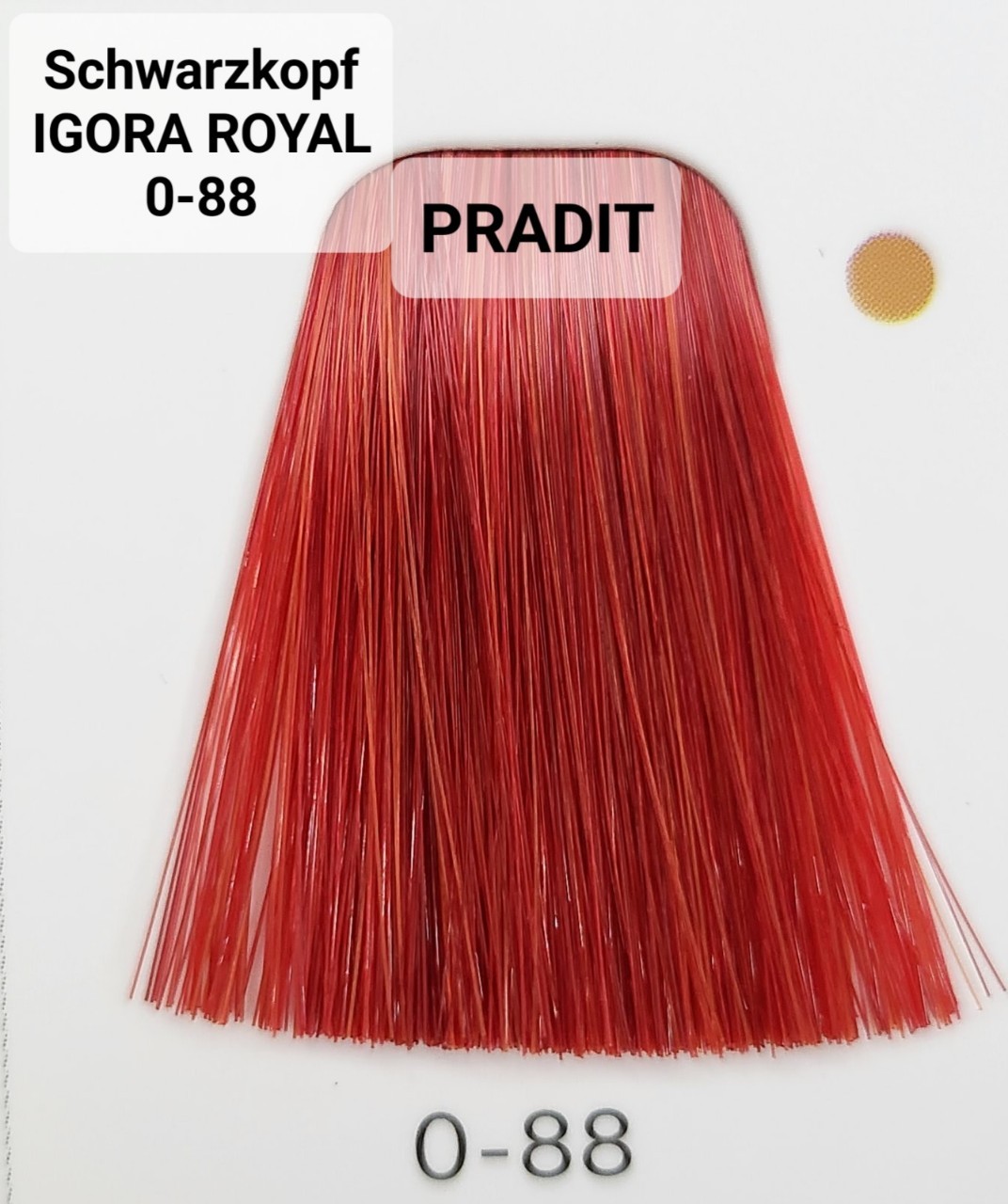 Schwarzkopf Igora Royal ครีมย้อมผม อีโกร่า รอยัล เบอร์0-88 แม่สีแดง (60ml) 80 กรัม