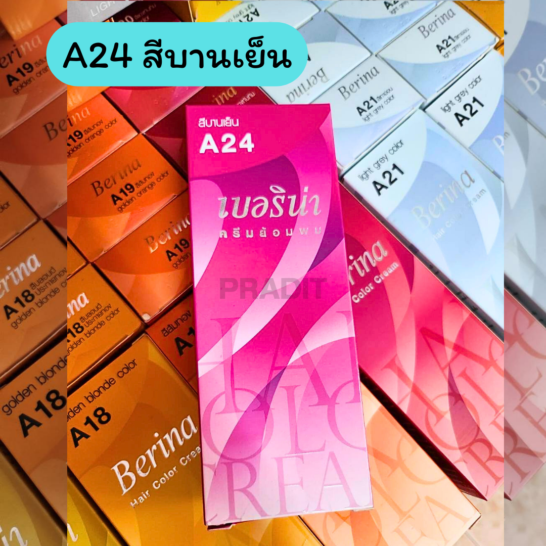 Berina Hair Color เบอร์ A24 สีบานเย็น 121 กรัม