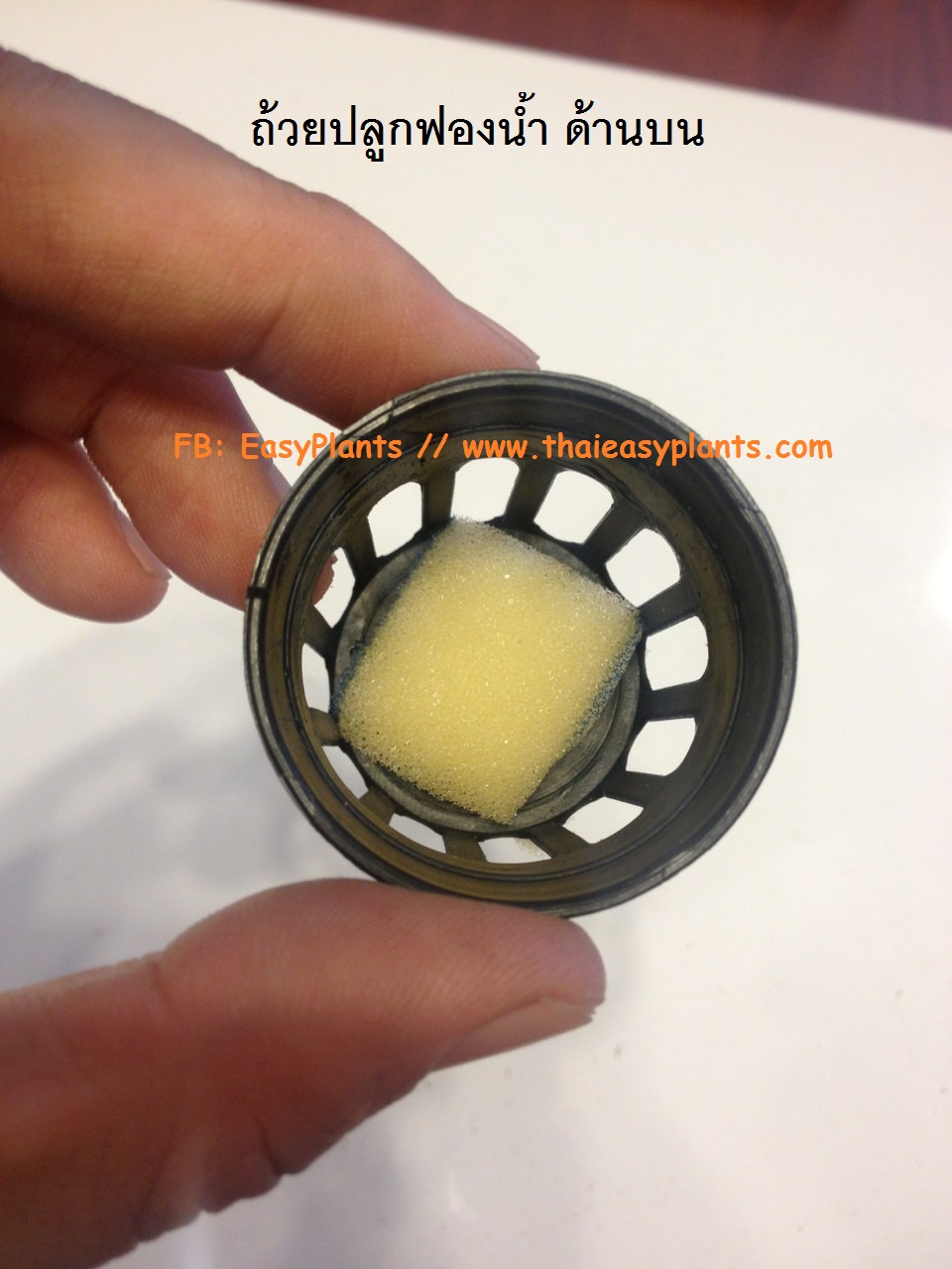ชุดไฮโดรโปนิกส์คิท (ใหญ่) Hydroponics Kit (Large size)