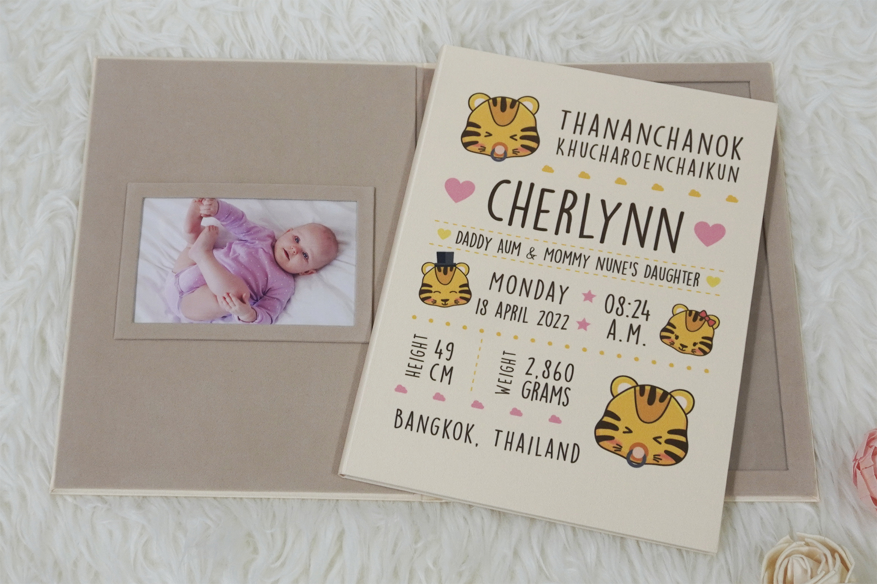 แฟ้มทะเบียนสมรส/สูติบัตร สั่งทำใส่ข้อความ ลาย Tiger - Cream